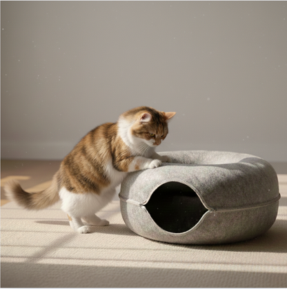 Calmara™ Snug & Scratch