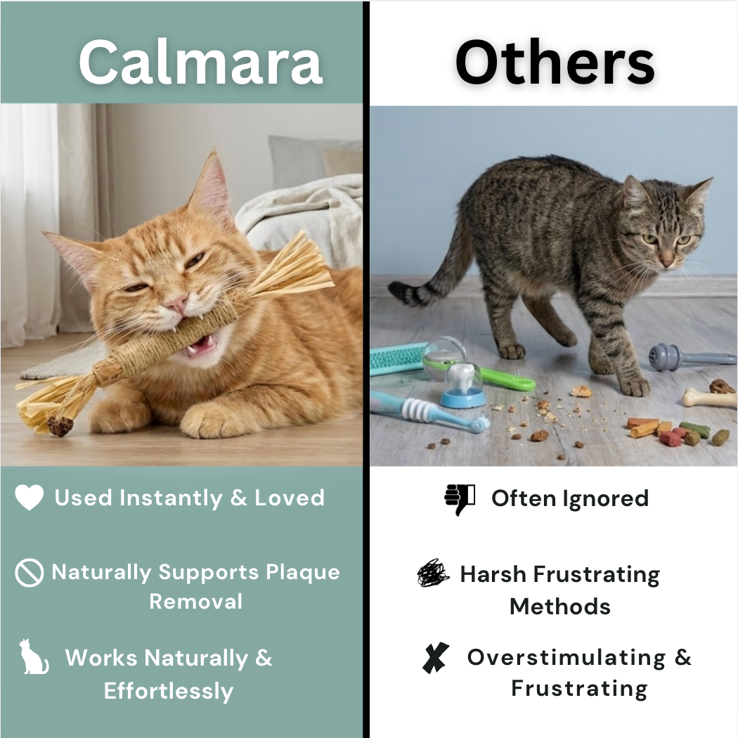 Calmara Natural Silvervine Dental Sticks