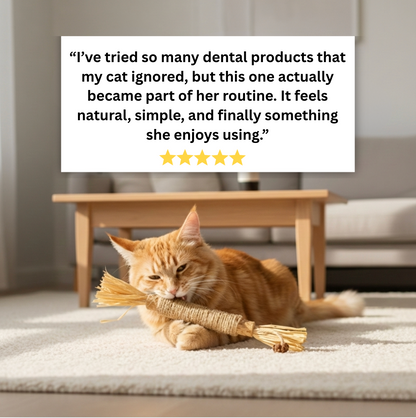 Calmara Natural Silvervine Dental Sticks