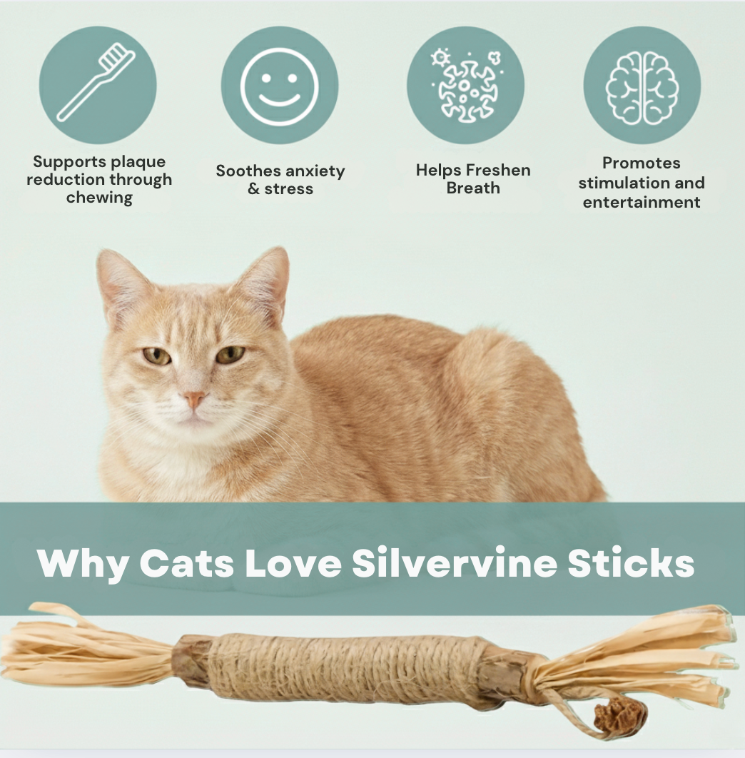 Calmara Natural Silvervine Dental Sticks